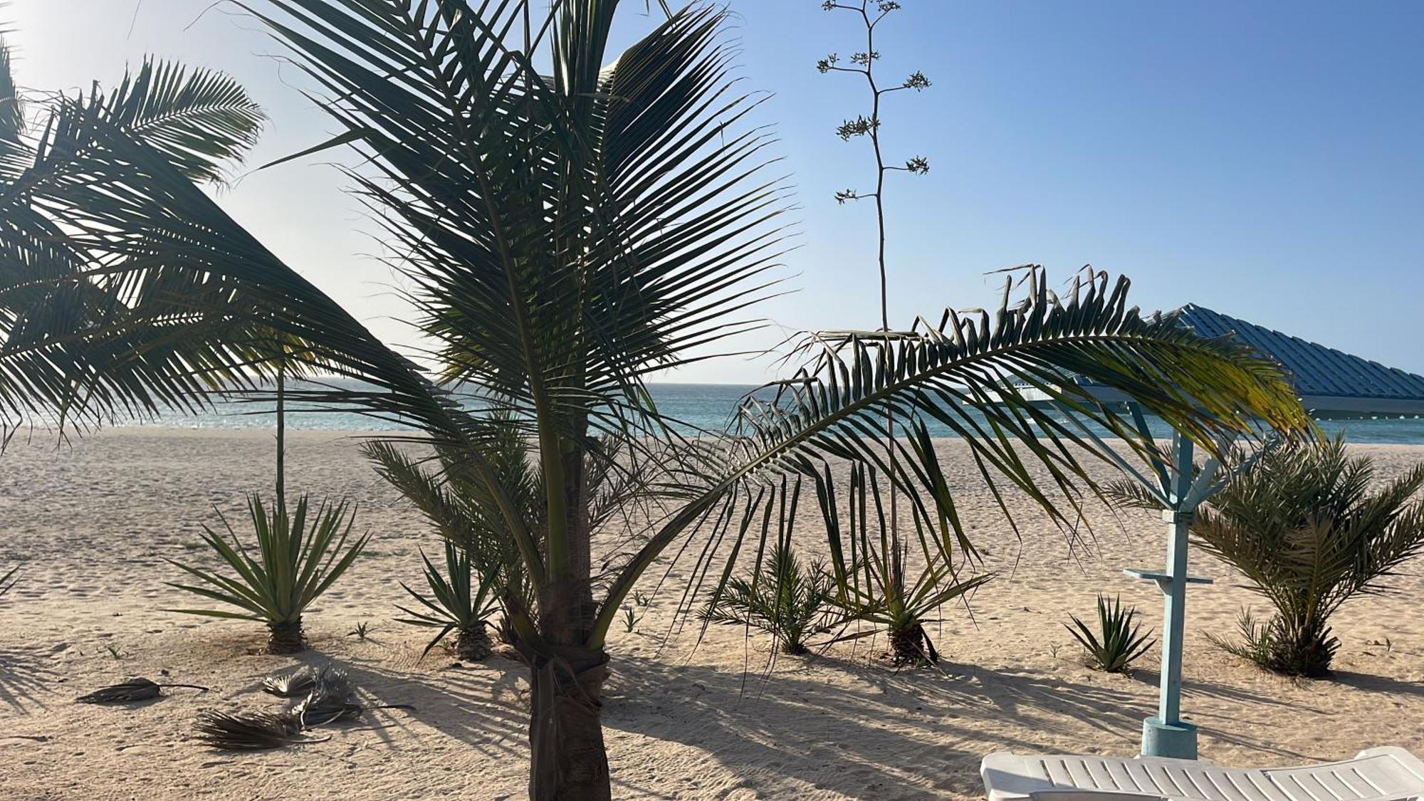 Luxury Beach Villa, Praia De Chaves, Boa Vista 萨尔雷 外观 照片