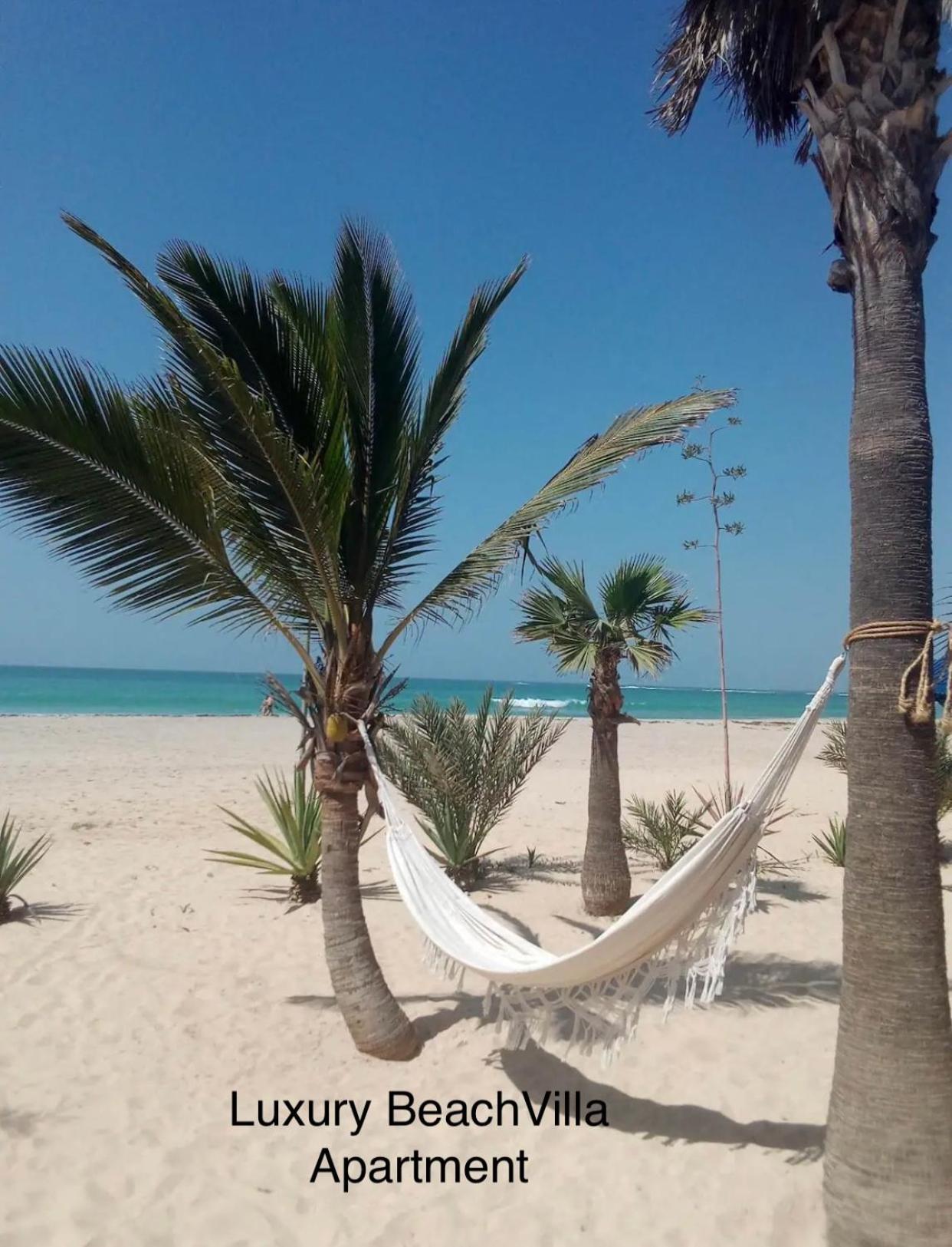 Luxury Beach Villa, Praia De Chaves, Boa Vista 萨尔雷 外观 照片