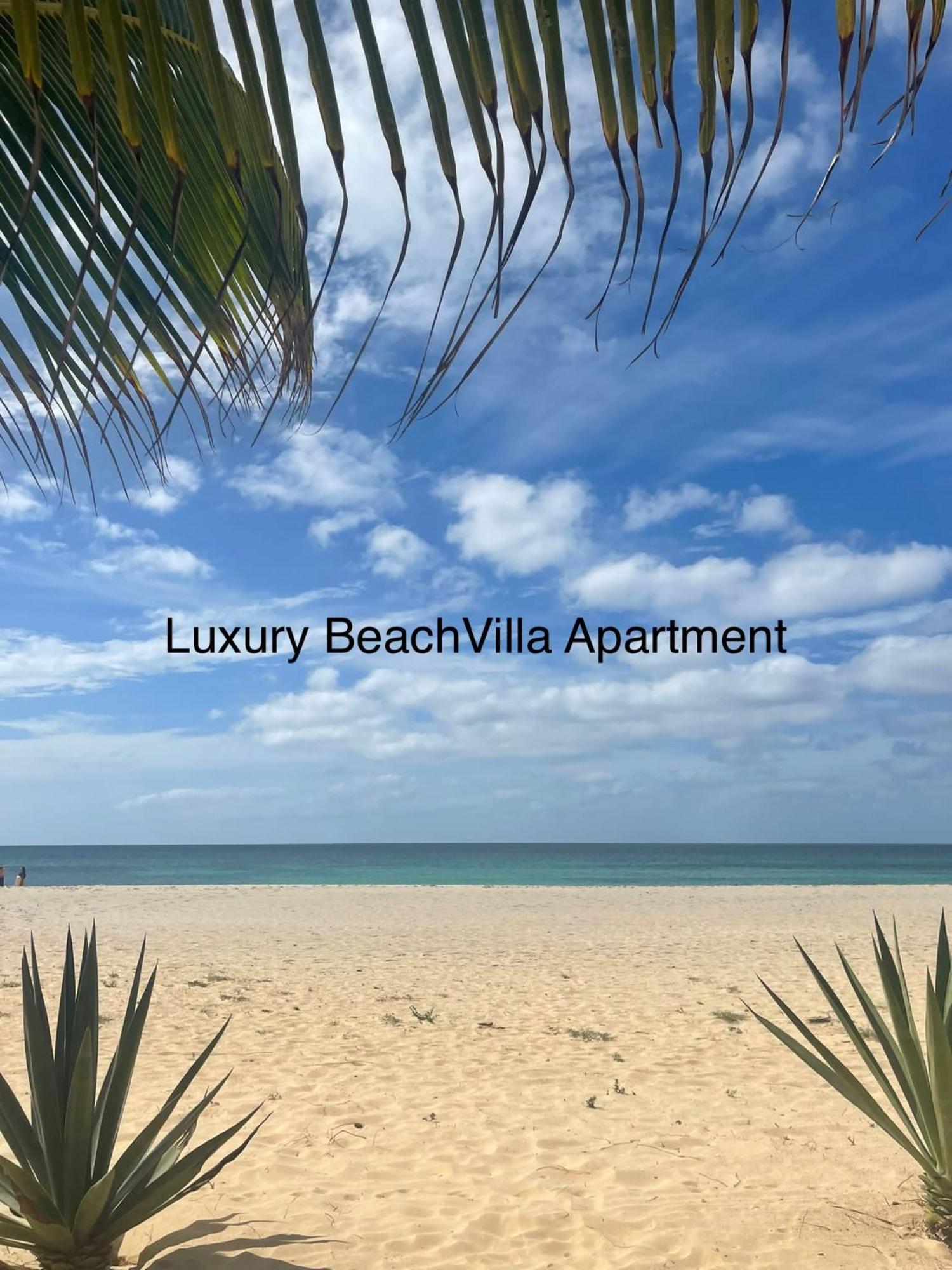 Luxury Beach Villa, Praia De Chaves, Boa Vista 萨尔雷 外观 照片