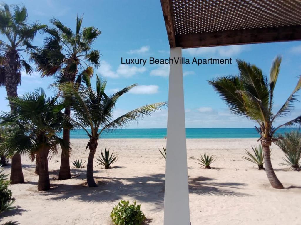 Luxury Beach Villa, Praia De Chaves, Boa Vista 萨尔雷 外观 照片